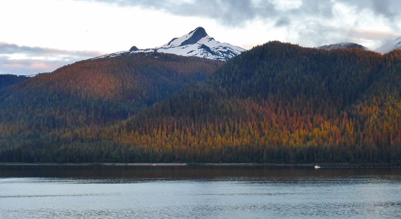 A view from the ferry from Ketchikan to Wrangell.
