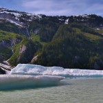 Icebergs coming down the river from the glacier.
