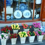 Two Holland staples:  Tulips and Delftware