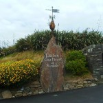 c Old Head 001